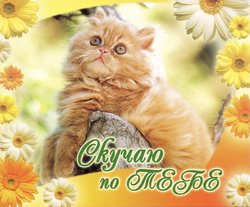 Не хорошо быть человеку одному...