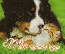 Ты просто чудо!