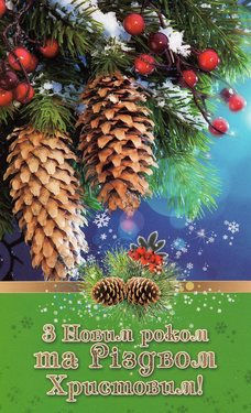 С Новым Годом и Рождеством Христовым!
