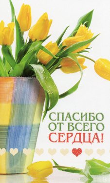 Спасибо от всего сердца!