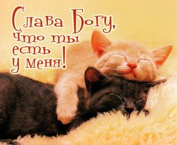 Слава Богу что ты есть у меня