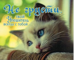 Не грусти твой Утешитель всегда с тобой