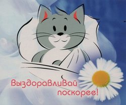 Выздоравливай поскорее!