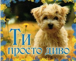 Ти просто диво!