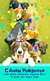 С Днем Рождения!