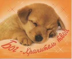 Бог - хранитель твой