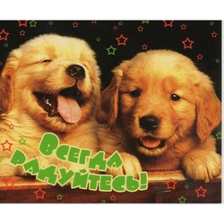 Всегда радуйтесь!