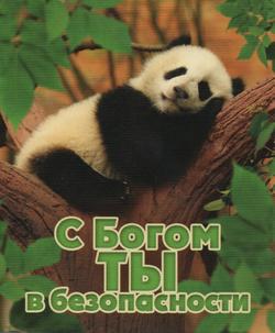 С Богом ты в безопасности