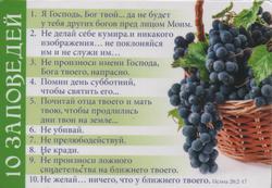 Магнит: 10 заповедей