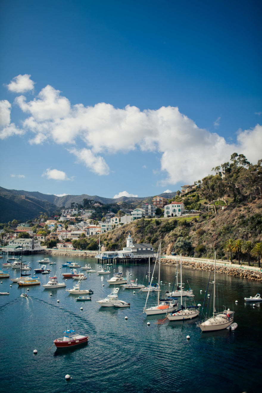 Catalina Swing Dance Festival – Photo by Let's Frolic Together