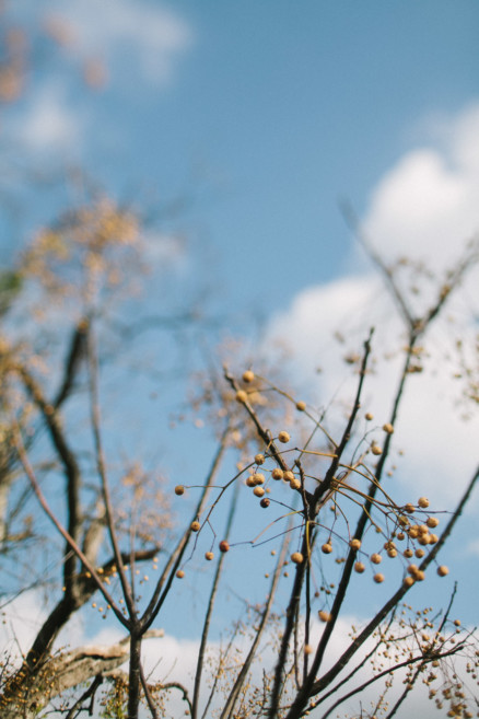 Prairie Houses, Retro Bowling, & Swimming Holes – Photo by Let's Frolic Together