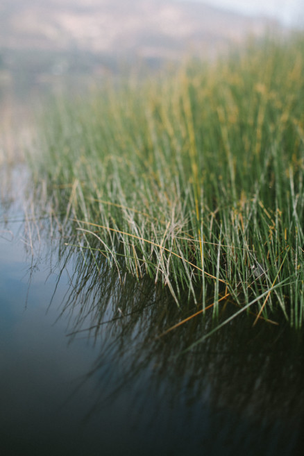 The Foggy Lake at Dawn – Photo by Let's Frolic Together