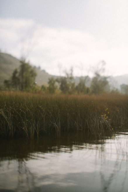 The Foggy Lake at Dawn – Photo by Let's Frolic Together