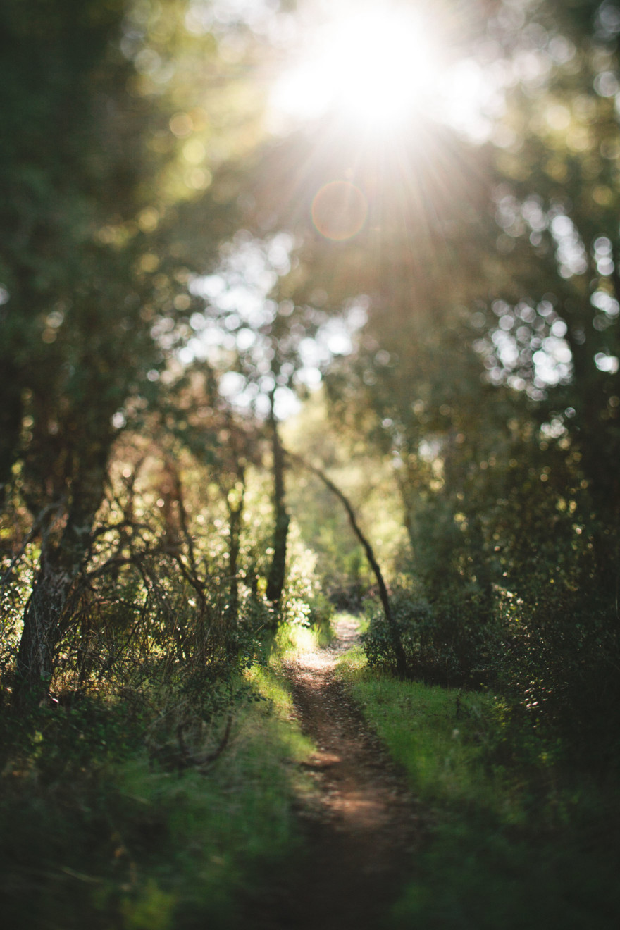 Banjos, Camping, Adventure & Love – Photo by Let's Frolic Together