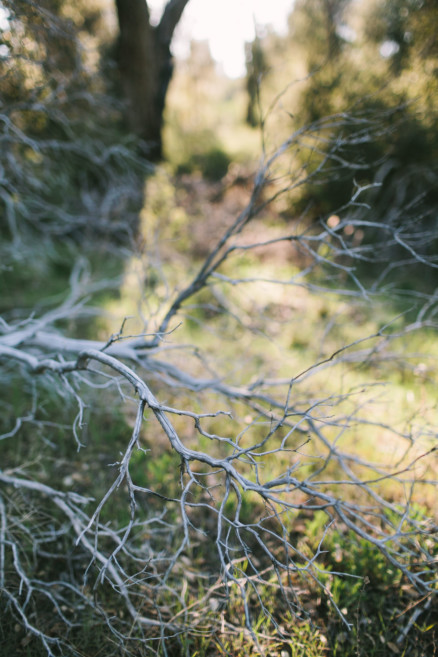 Banjos, Camping, Adventure & Love – Photo by Let's Frolic Together