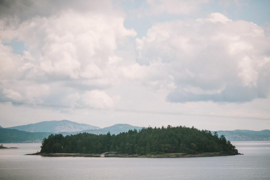 Love at a Seaside Sheep Farm Cottage – Photo by Let's Frolic Together