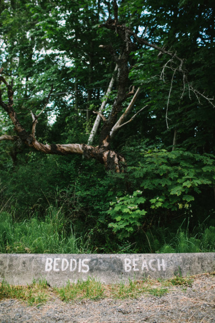 Love at a Seaside Sheep Farm Cottage – Photo by Let's Frolic Together