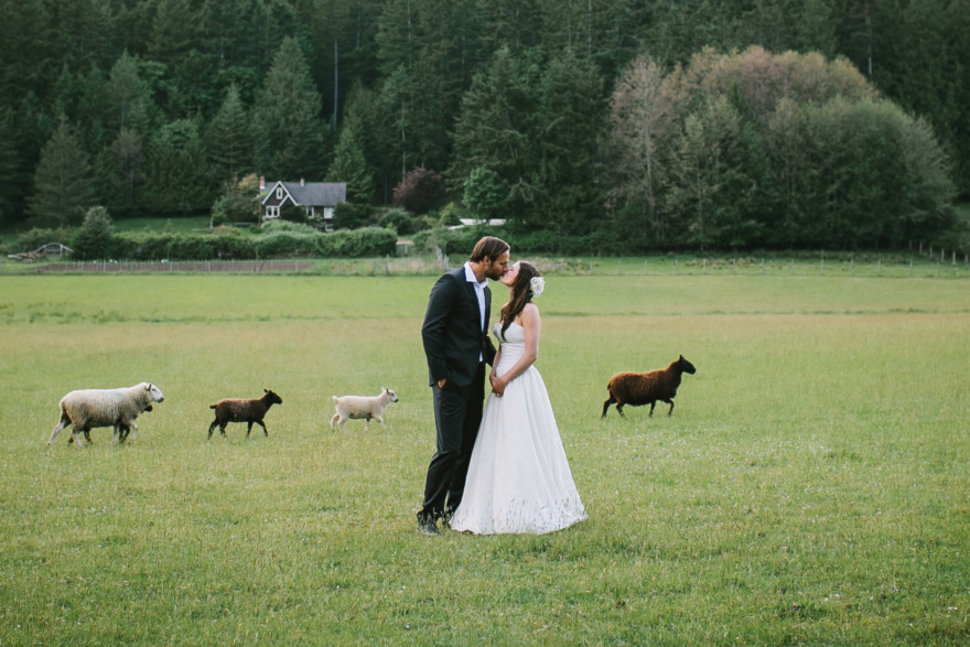 Love at a Seaside Sheep Farm Cottage – Photo by Let's Frolic Together