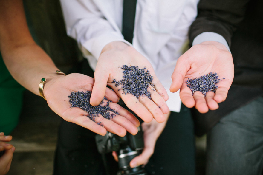 Love at a Seaside Sheep Farm Cottage – Photo by Let's Frolic Together