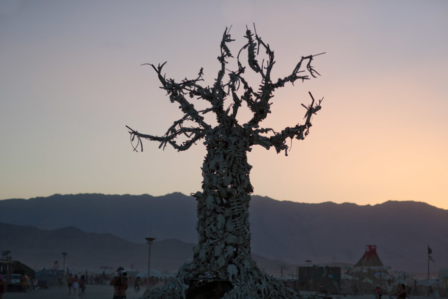 Burning Man: Welcome Home – Photo by Let's Frolic Together