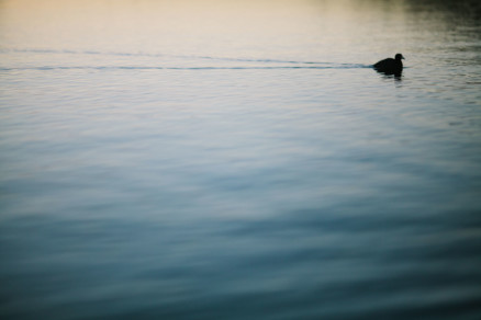 Cozy Loveboating at the Lake – Photo by Let's Frolic Together