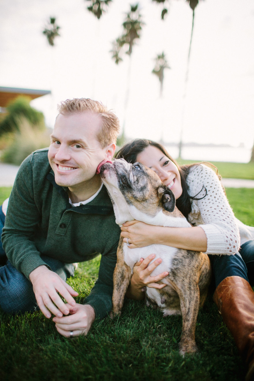 A Bulldog Family Park Frolic – Photo by Let's Frolic Together