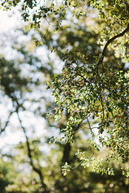 Becoming – A Julian Adventure – Photo by Let's Frolic Together