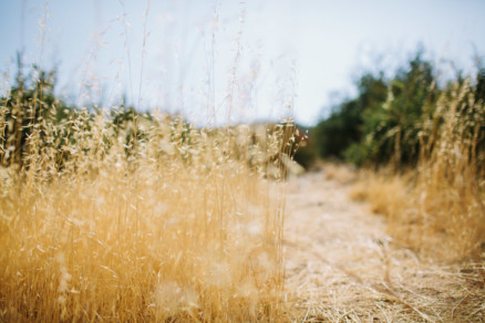 Becoming – A Julian Adventure – Photo by Let's Frolic Together