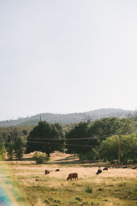 Becoming – A Julian Adventure – Photo by Let's Frolic Together