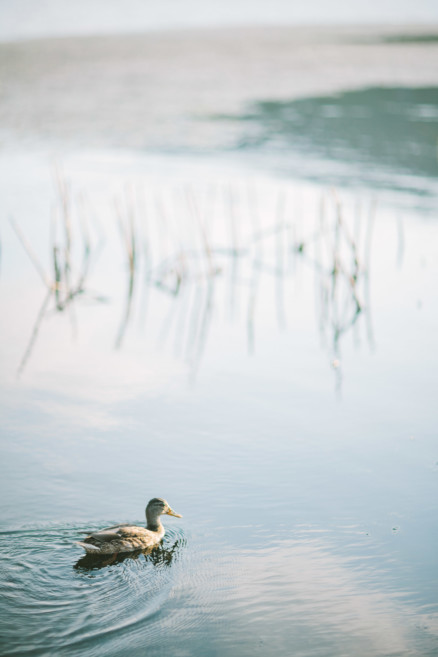 Becoming – A Julian Adventure – Photo by Let's Frolic Together