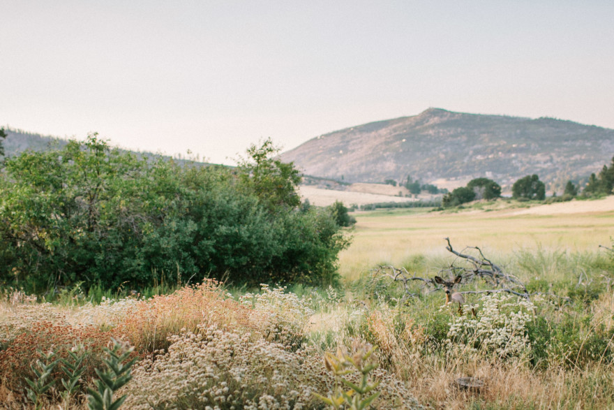 Becoming – A Julian Adventure – Photo by Let's Frolic Together