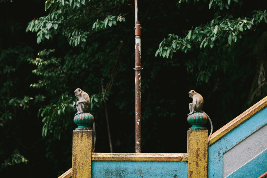 Monkeying Around in Malaysia – Photo by Let's Frolic Together