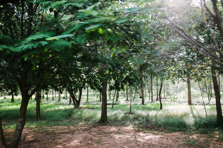 Tales from the Cambodian Temples – Photo by Let's Frolic Together