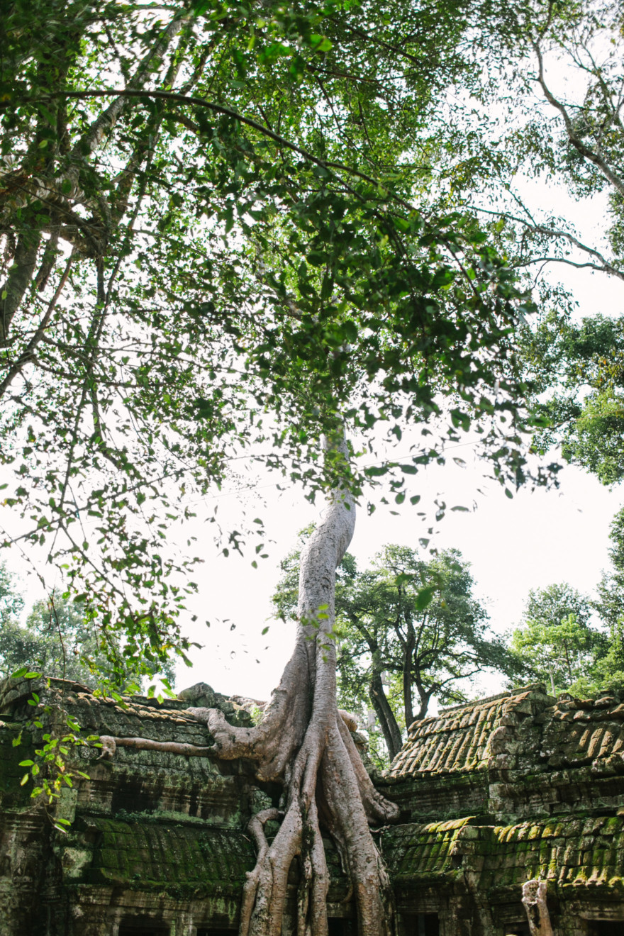 Tales from the Cambodian Temples – Photo by Let's Frolic Together