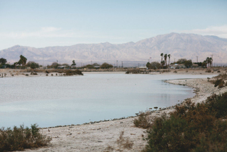 Fishbones & Film at the Salton Sea – Photo by Let's Frolic Together
