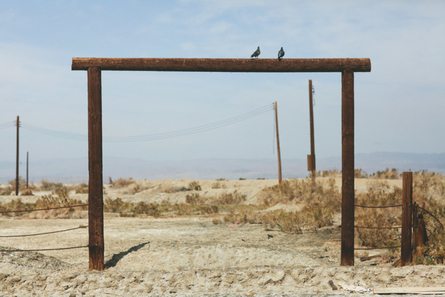 Fishbones & Film at the Salton Sea – Photo by Let's Frolic Together