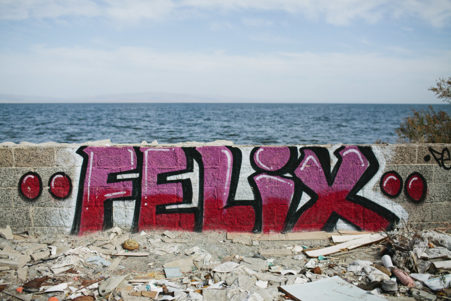 Fishbones & Film at the Salton Sea – Photo by Let's Frolic Together