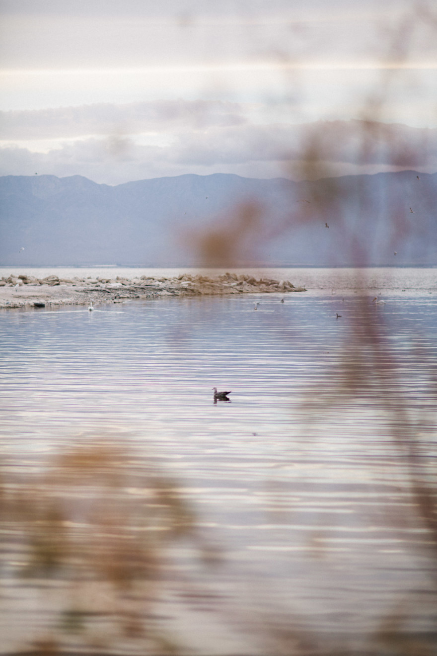 Fishbones & Film at the Salton Sea – Photo by Let's Frolic Together