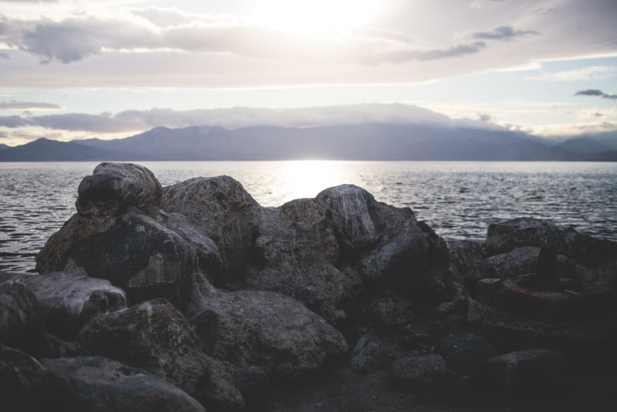 Fishbones & Film at the Salton Sea – Photo by Let's Frolic Together