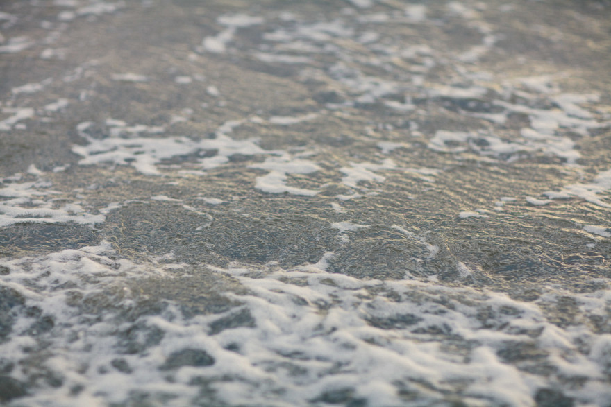 Fishbones & Film at the Salton Sea – Photo by Let's Frolic Together