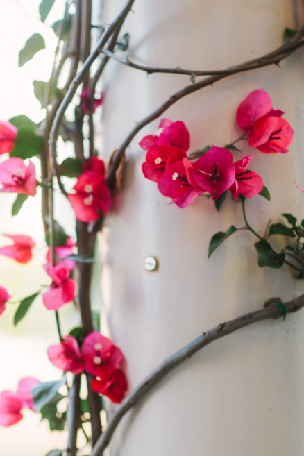 Embracing the Flow of Family – Photo by Let's Frolic Together