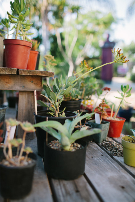 An All-Natural Garden Love Story – Photo by Let's Frolic Together