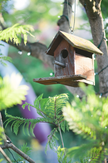 An All-Natural Garden Love Story – Photo by Let's Frolic Together