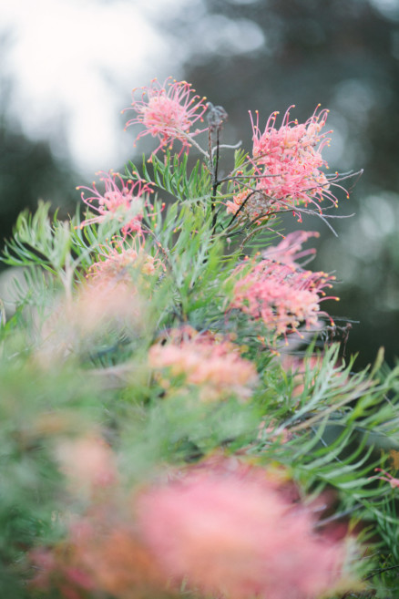 An All-Natural Garden Love Story – Photo by Let's Frolic Together