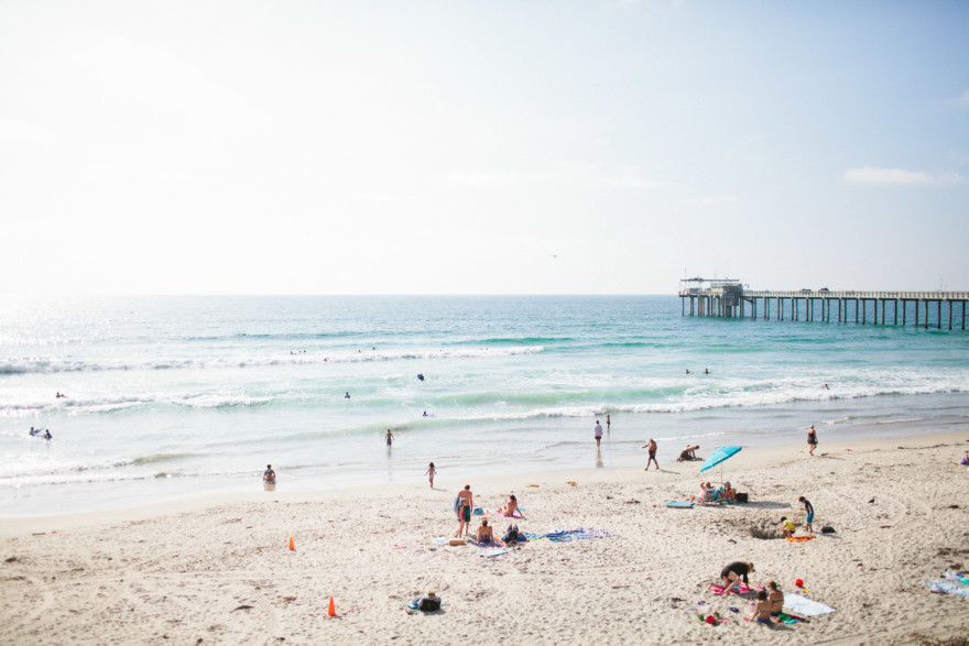 The Palms and the Pacific – Photo by Let's Frolic Together