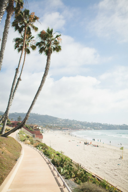 The Palms and the Pacific – Photo by Let's Frolic Together