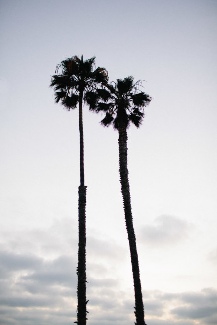 The Palms and the Pacific – Photo by Let's Frolic Together