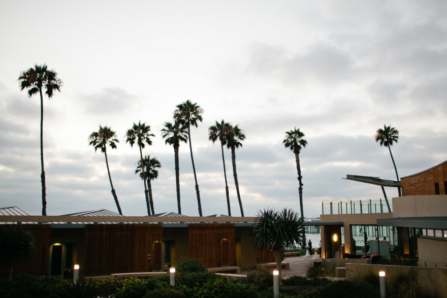 The Palms and the Pacific – Photo by Let's Frolic Together