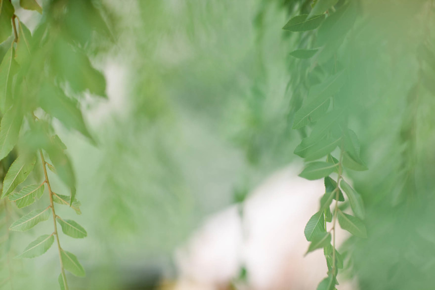 Tender Vintage Woodland Nuptials – Photo by Let's Frolic Together