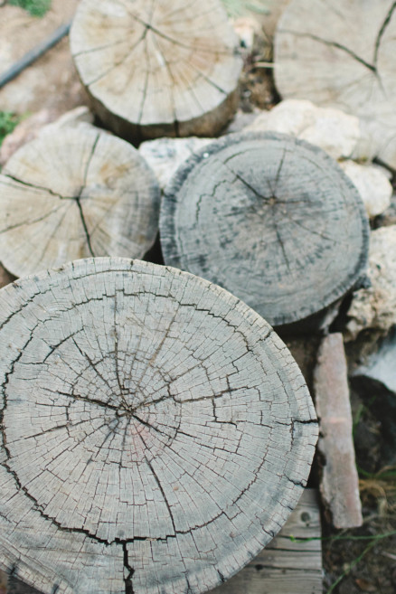 Tender Vintage Woodland Nuptials – Photo by Let's Frolic Together